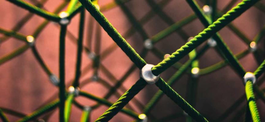 A network of ropes